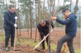 1711355053398.png image.png