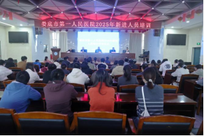 1764902020543.png image.png